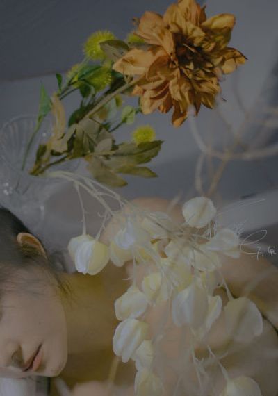 你所不知道的童话动漫樱花_在线播放-手机免费播放动漫